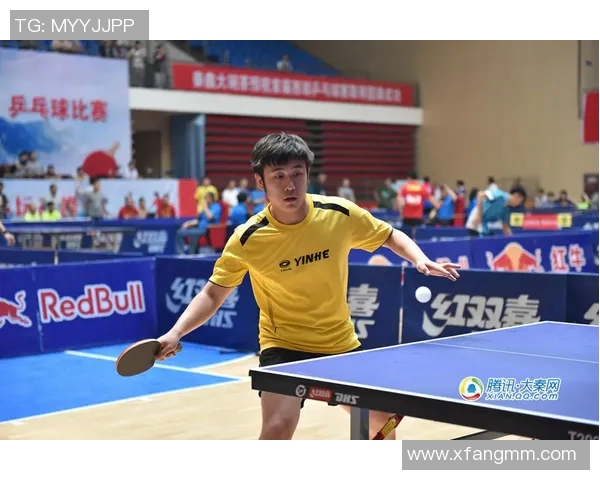 武汉乒乓球队在联合会杯中的个人能力表现全面分析与点评