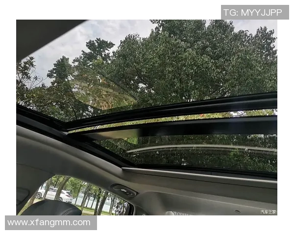 武汉乒乓球队的比赛经验揭秘与成长之路的深度探索