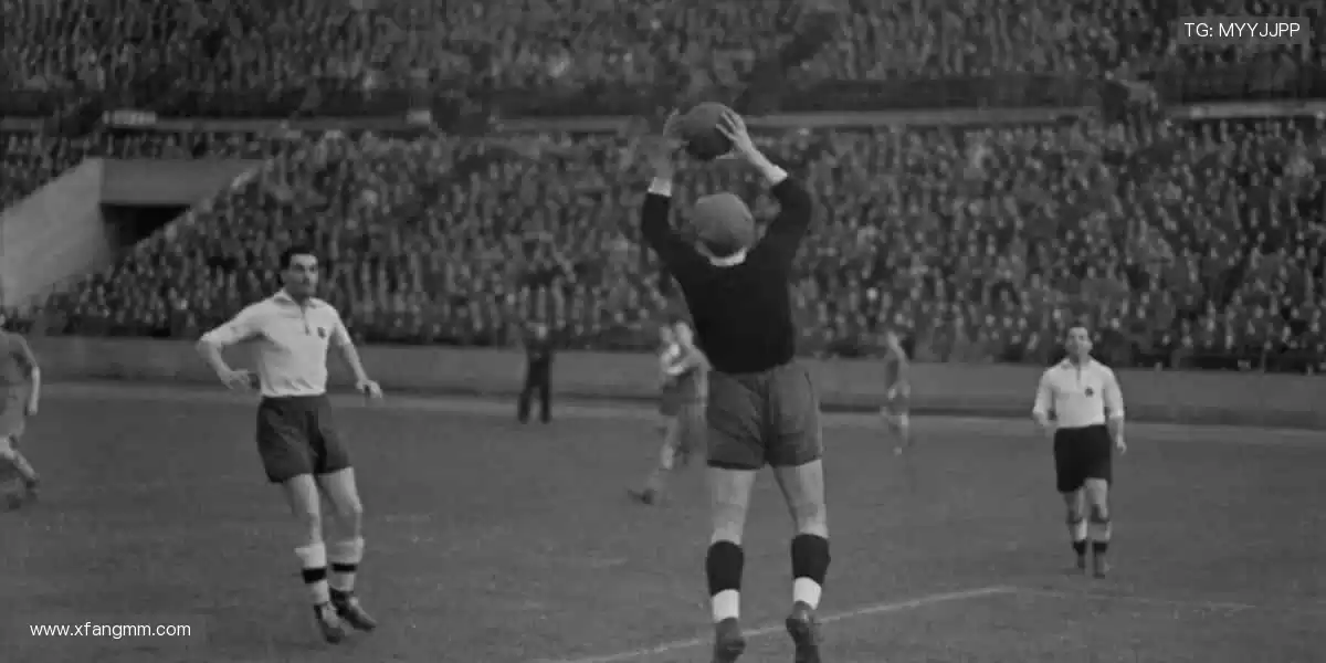 专业解说全程相伴，观赛体验升级不止🌟